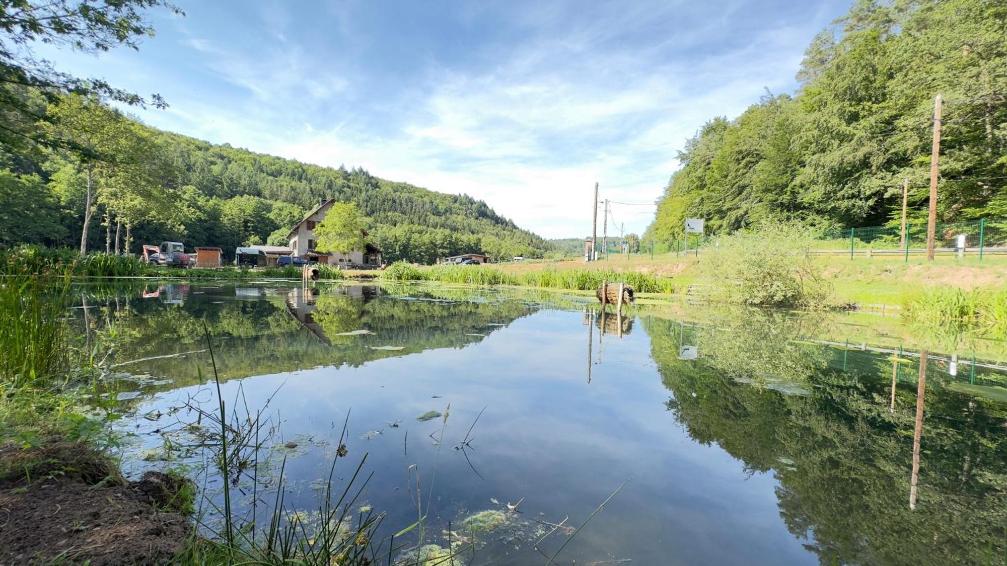 Maison D'Hotes En Pleine Nature Avec Chevaux Soucht Exteriér fotografie