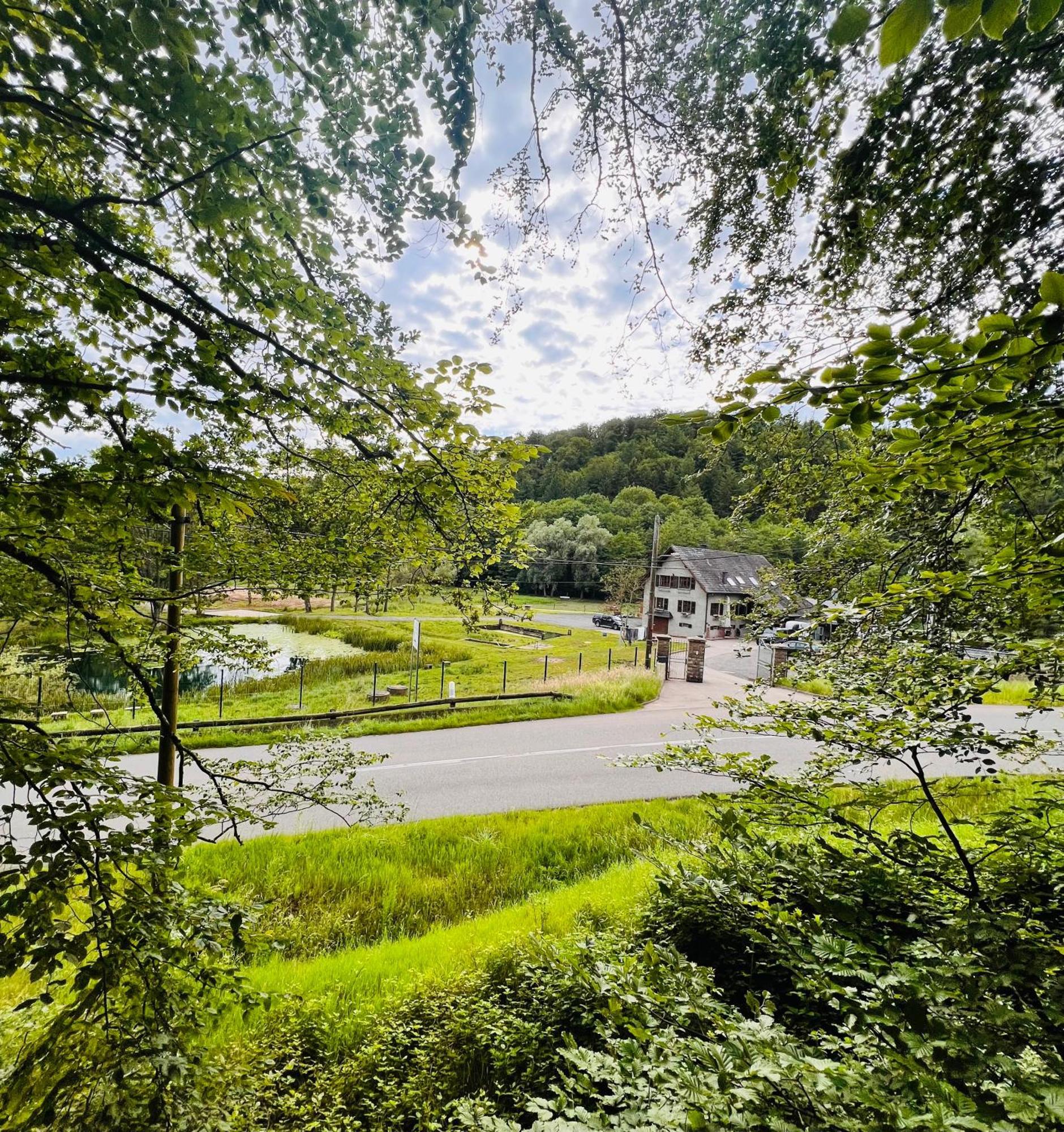 Maison D'Hotes En Pleine Nature Avec Chevaux Soucht Exteriér fotografie