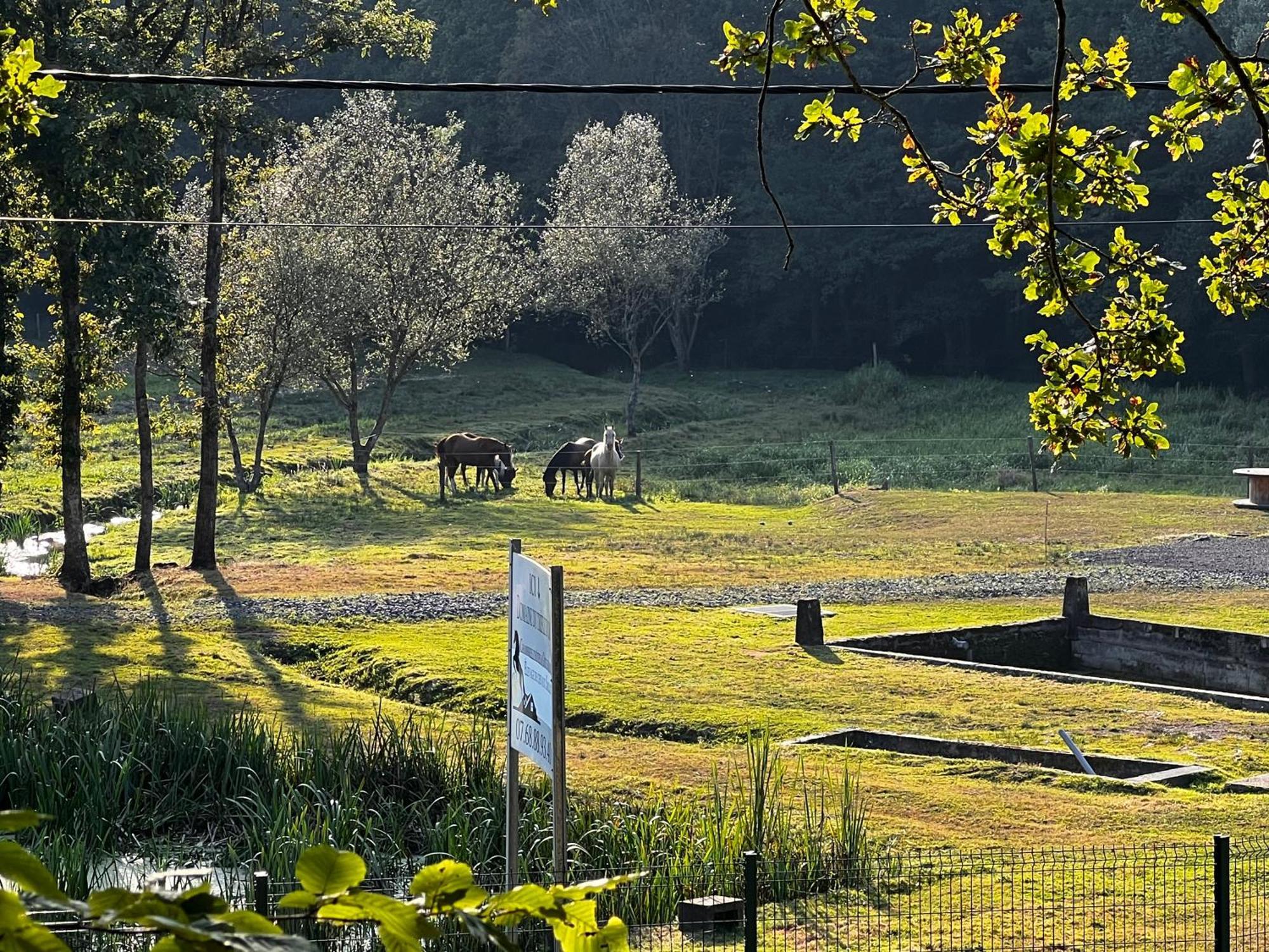 Maison D'Hotes En Pleine Nature Avec Chevaux Soucht Exteriér fotografie